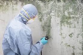 Trusted Clarksville, VA Mold Remediation Experts